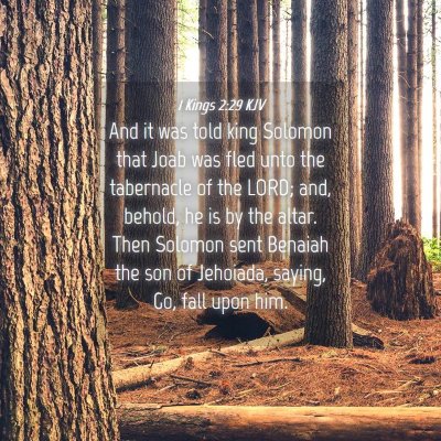 Picture 04 - 1 Kings 2:29 KJV - And it was told king Solomon that Joab was fled - Bible Verse Picture