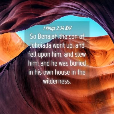 Picture 04 - 1 Kings 2:34 KJV - So Benaiah the son of Jehoiada went up, and fell - Bible Verse Picture
