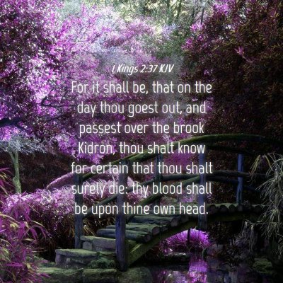Picture 04 - 1 Kings 2:37 KJV - For it shall be, that on the day thou goest out, - Bible Verse Picture