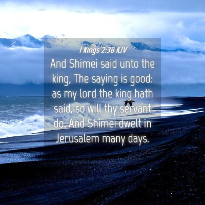 Picture 04 - 1 Kings 2:38 KJV - And Shimei said unto the king, The saying is - Bible Verse Picture