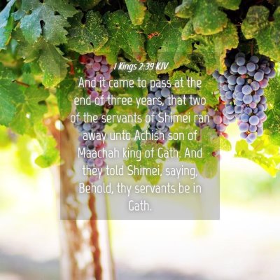 Picture 04 - 1 Kings 2:39 KJV - And it came to pass at the end of three years, - Bible Verse Picture