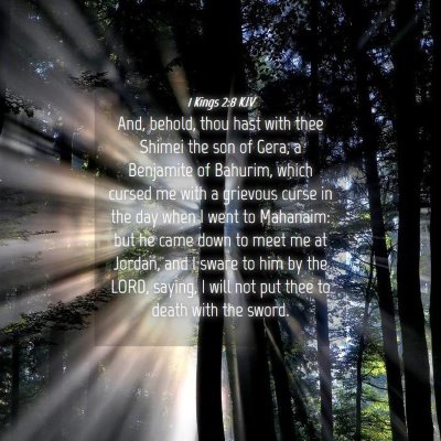 Picture 04 - 1 Kings 2:8 KJV - And, behold, thou hast with thee Shimei the son - Bible Verse Picture
