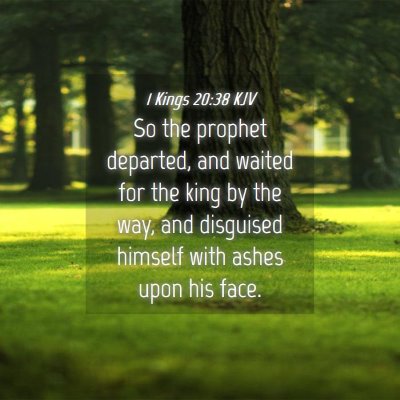 Picture 04 - 1 Kings 20:38 KJV - So the prophet departed, and waited for the king - Bible Verse Picture