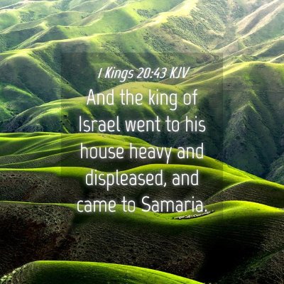 Picture 04 - 1 Kings 20:43 KJV - And the king of Israel went to his house heavy - Bible Verse Picture