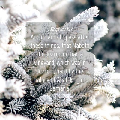 Picture 04 - 1 Kings 21:1 KJV - And it came to pass after these things, that - Bible Verse Picture