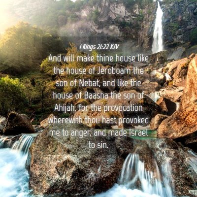 Picture 04 - 1 Kings 21:22 KJV - And will make thine house like the house of - Bible Verse Picture