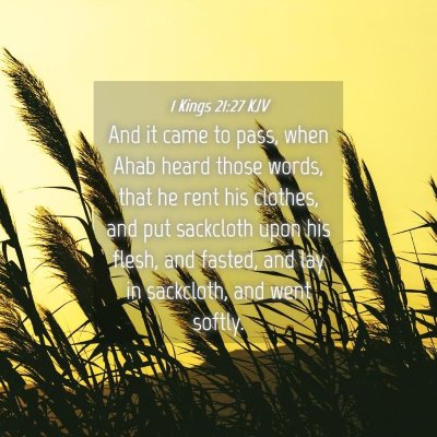 Picture 04 - 1 Kings 21:27 KJV - And it came to pass, when Ahab heard those words, - Bible Verse Picture