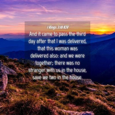 Picture 04 - 1 Kings 3:18 KJV - And it came to pass the third day after that I - Bible Verse Picture