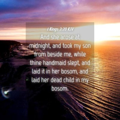 Picture 04 - 1 Kings 3:20 KJV - And she arose at midnight, and took my son from - Bible Verse Picture