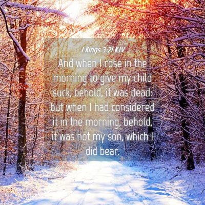Picture 04 - 1 Kings 3:21 KJV - And when I rose in the morning to give my child - Bible Verse Picture