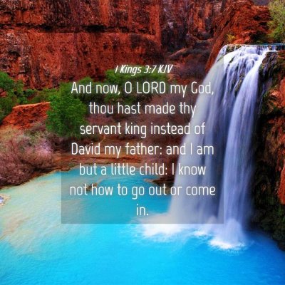 Picture 04 - 1 Kings 3:7 KJV - And now, O LORD my God, thou hast made thy - Bible Verse Picture