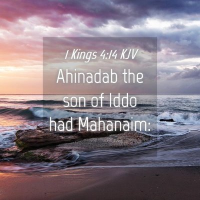 Picture 04 - 1 Kings 4:14 KJV - Ahinadab the son of Iddo had - Bible Verse Picture