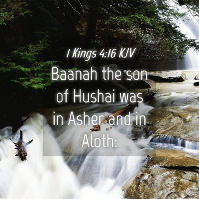 Picture 04 - 1 Kings 4:16 KJV - Baanah the son of Hushai was in Asher and in - Bible Verse Picture