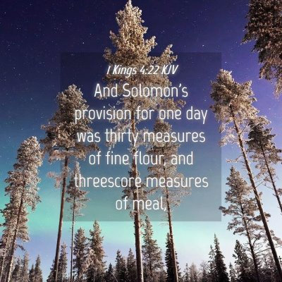 Picture 04 - 1 Kings 4:22 KJV - And Solomon's provision for one day was thirty - Bible Verse Picture