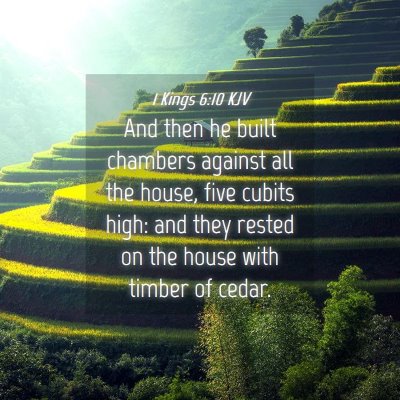 Picture 04 - 1 Kings 6:10 KJV - And then he built chambers against all the house, - Bible Verse Picture