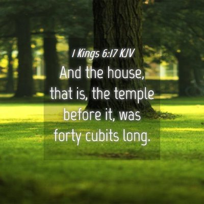 Picture 04 - 1 Kings 6:17 KJV - And the house, that is, the temple before it, was - Bible Verse Picture