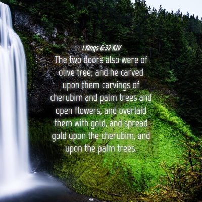 Picture 04 - 1 Kings 6:32 KJV - The two doors also were of olive tree; and he - Bible Verse Picture