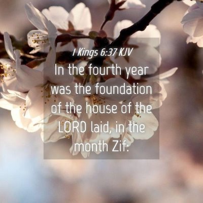 Picture 04 - 1 Kings 6:37 KJV - In the fourth year was the foundation of the - Bible Verse Picture