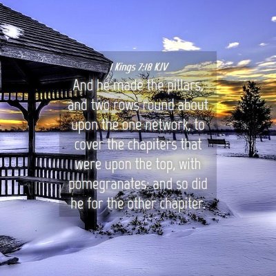 Picture 04 - 1 Kings 7:18 KJV - And he made the pillars, and two rows round about - Bible Verse Picture