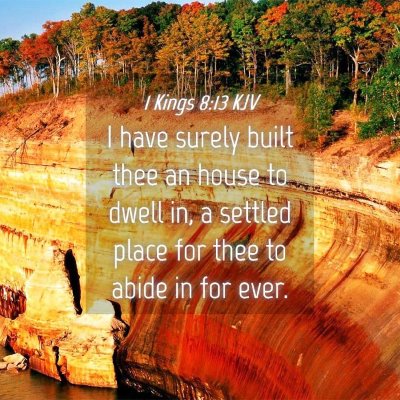 Picture 04 - 1 Kings 8:13 KJV - I have surely built thee an house to dwell in, a - Bible Verse Picture