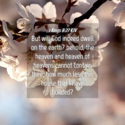 Picture 04 - 1 Kings 8:27 KJV - But will God indeed dwell on the earth? behold, - Bible Verse Picture
