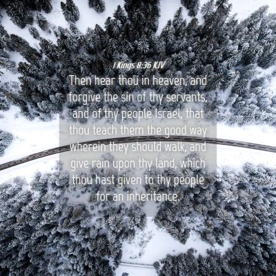 Picture 04 - 1 Kings 8:36 KJV - Then hear thou in heaven, and forgive the sin of - Bible Verse Picture