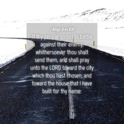 Picture 04 - 1 Kings 8:44 KJV - If thy people go out to battle against their - Bible Verse Picture