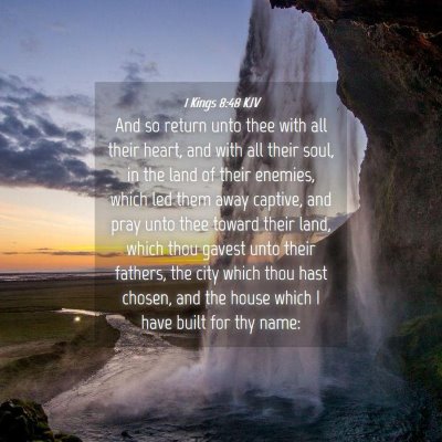 Picture 04 - 1 Kings 8:48 KJV - And so return unto thee with all their heart, and - Bible Verse Picture