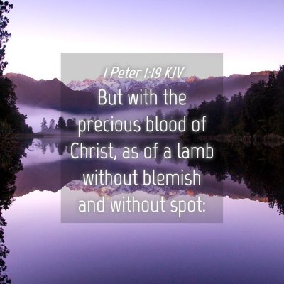Picture 04 - 1 Peter 1:19 KJV - But with the precious blood of Christ, as of a - Bible Verse Picture