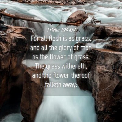 Picture 04 - 1 Peter 1:24 KJV - For all flesh is as grass, and all the glory of - Bible Verse Picture