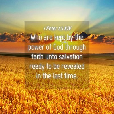Picture 04 - 1 Peter 1:5 KJV - Who are kept by the power of God through faith - Bible Verse Picture