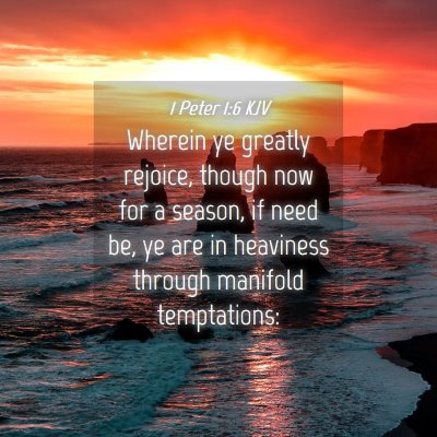 Picture 04 - 1 Peter 1:6 KJV - Wherein ye greatly rejoice, though now for a - Bible Verse Picture
