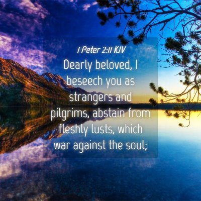Picture 04 - 1 Peter 2:11 KJV - Dearly beloved, I beseech you as strangers and - Bible Verse Picture