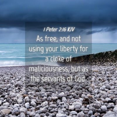 Picture 04 - 1 Peter 2:16 KJV - As free, and not using your liberty for a cloke - Bible Verse Picture