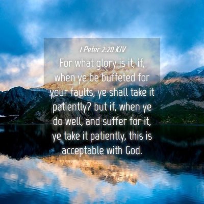 Picture 04 - 1 Peter 2:20 KJV - For what glory is it, if, when ye be buffeted for - Bible Verse Picture