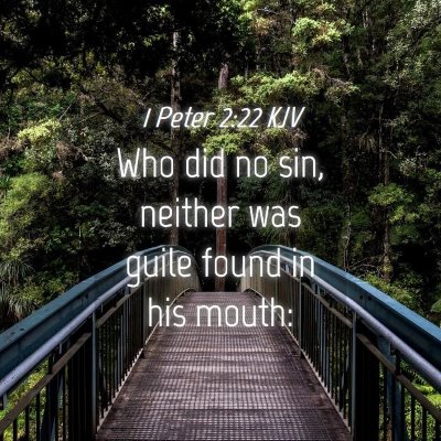 Picture 04 - 1 Peter 2:22 KJV - Who did no sin, neither was guile found in his - Bible Verse Picture