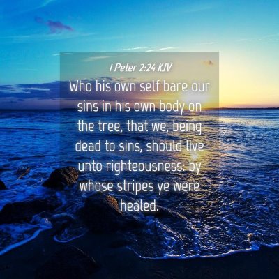 Picture 04 - 1 Peter 2:24 KJV - Who his own self bare our sins in his own body on - Bible Verse Picture