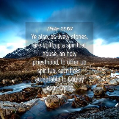 Picture 04 - 1 Peter 2:5 KJV - Ye also, as lively stones, are built up a - Bible Verse Picture