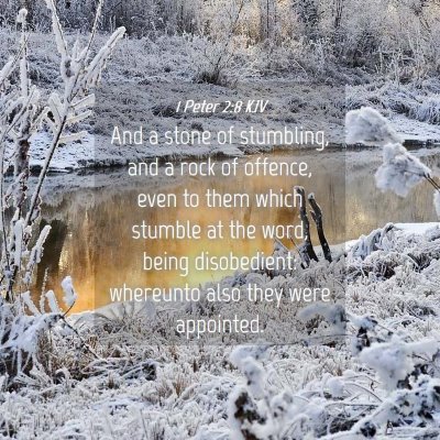 Picture 04 - 1 Peter 2:8 KJV - And a stone of stumbling, and a rock of offence, - Bible Verse Picture