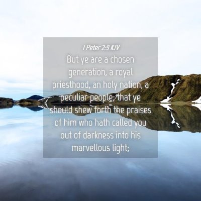 Picture 04 - 1 Peter 2:9 KJV - But ye are a chosen generation, a royal - Bible Verse Picture