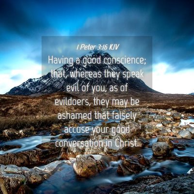 Picture 04 - 1 Peter 3:16 KJV - Having a good conscience; that, whereas they - Bible Verse Picture