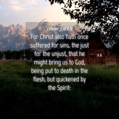Picture 04 - 1 Peter 3:18 KJV - For Christ also hath once suffered for sins, the - Bible Verse Picture