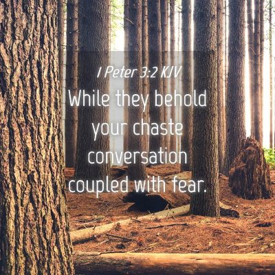 Picture 04 - 1 Peter 3:2 KJV - While they behold your chaste conversation - Bible Verse Picture