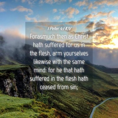 Picture 04 - 1 Peter 4:1 KJV - Forasmuch then as Christ hath suffered for us in - Bible Verse Picture