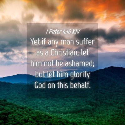 Picture 04 - 1 Peter 4:16 KJV - Yet if any man suffer as a Christian, let him not - Bible Verse Picture