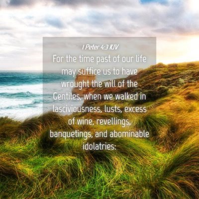 Picture 04 - 1 Peter 4:3 KJV - For the time past of our life may suffice us to - Bible Verse Picture