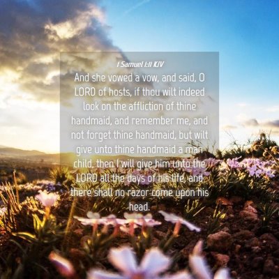 Picture 04 - 1 Samuel 1:11 KJV - And she vowed a vow, and said, O LORD of hosts, - Bible Verse Picture