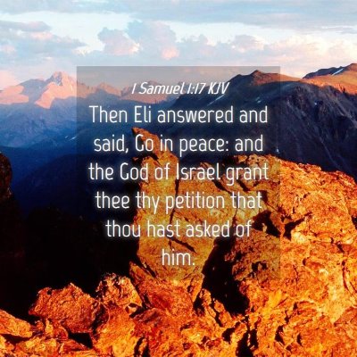 Picture 04 - 1 Samuel 1:17 KJV - Then Eli answered and said, Go in peace: and the - Bible Verse Picture