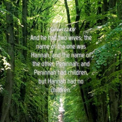 Picture 04 - 1 Samuel 1:2 KJV - And he had two wives; the name of the one was - Bible Verse Picture