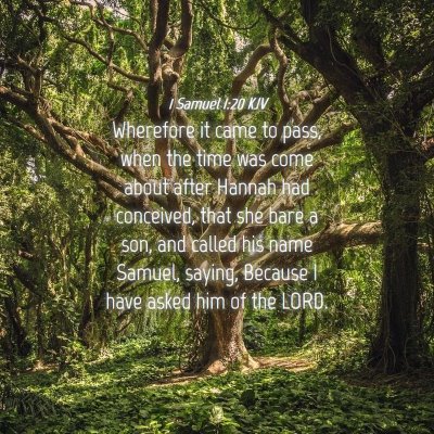 Picture 04 - 1 Samuel 1:20 KJV - Wherefore it came to pass, when the time was come - Bible Verse Picture